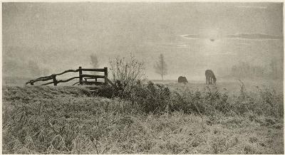 18a9a82a2ff44edeba30e5c82cc272ec_400x400