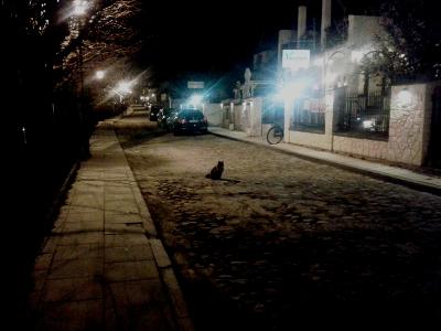 20140322_210028_400x400