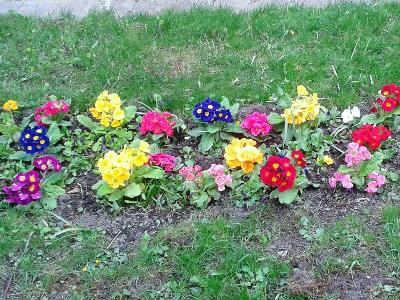 20150414_164313_400x400