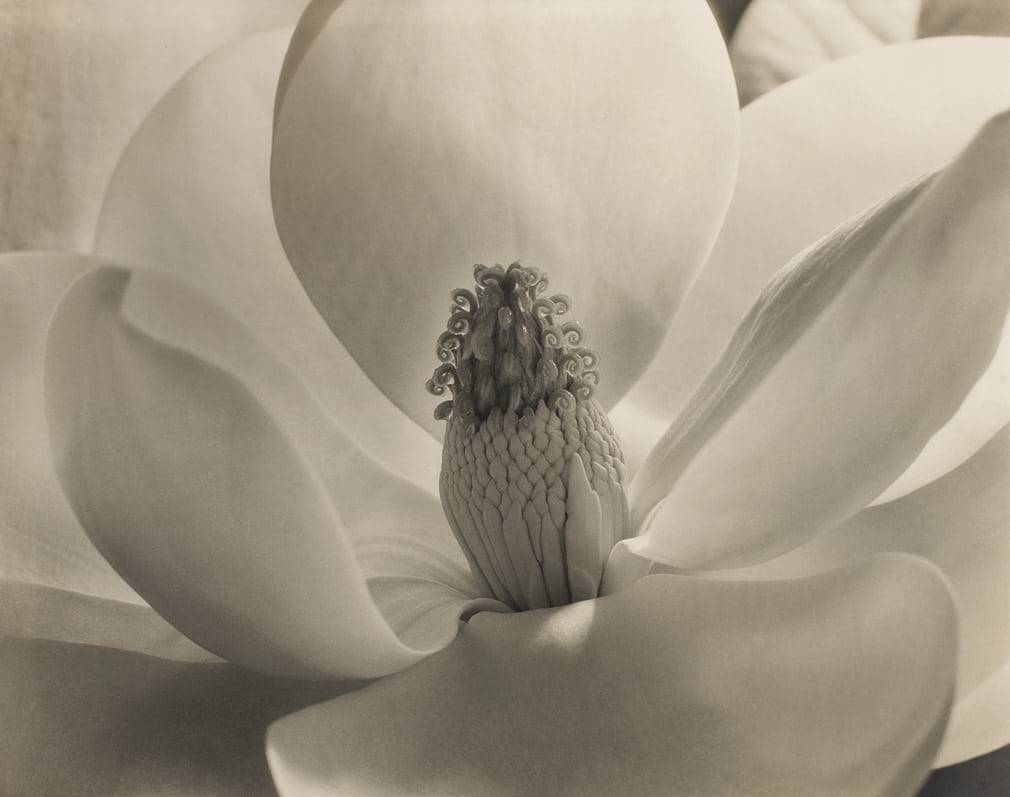 2a48f888e19b47bab002b883e69344ac