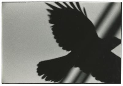 5085118130a1e05143d557c06c4b8e6d_400x400