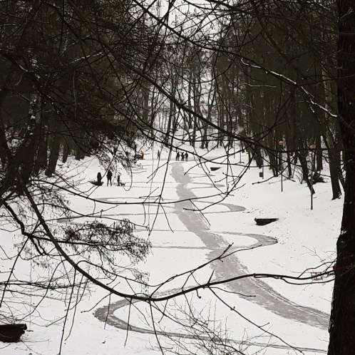 IMG_20190126_162003_171