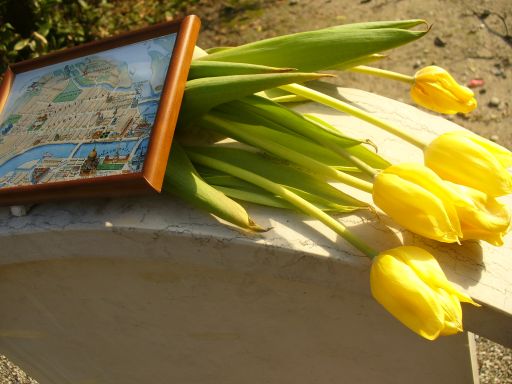 san_michele__brodski