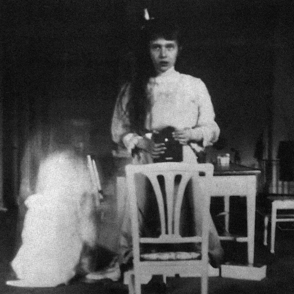 65002772_10161827894045487_9031622882622439424_n