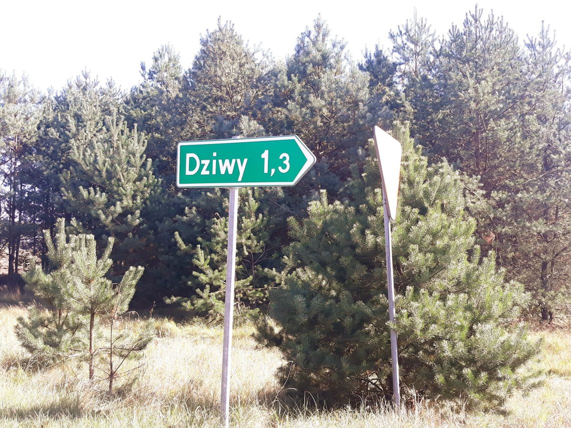 70508054_403908710313678_6259773688409751552_n